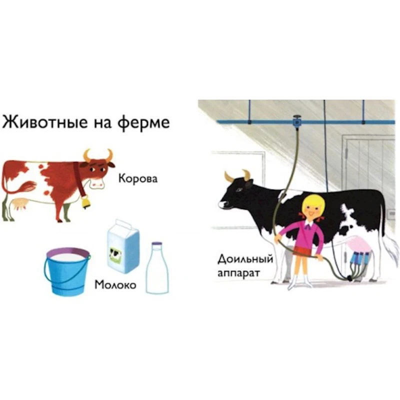 Энциклопедия Махаон Моя первая энциклопедия На ферме, 48 стр