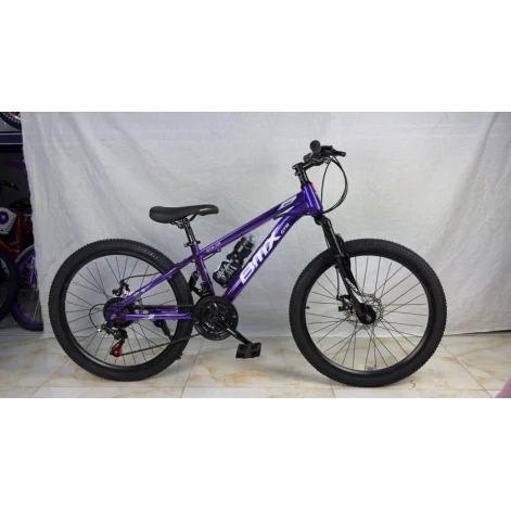 Велосипед GTR119, 24