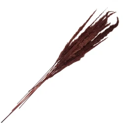 Сухоцветы Clayre & Eef, 100 см, коричневый