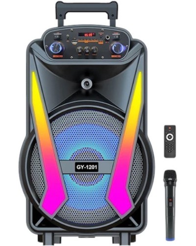 Portativ dinamik GY-1201 Multicolor