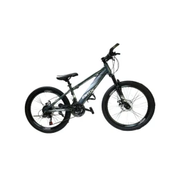 Горный велосипед BMX_gy24, серый, размер 24