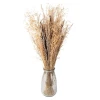 Сухоцветы Clayre & Eef 5DF0001, 60 см, коричневый