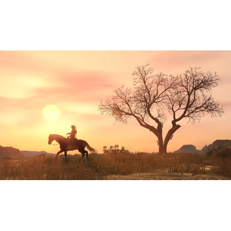 Oyun Red Dead Redemption PS4