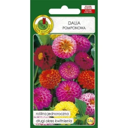 Семена цветов PNOS Dalia Pomponowa, 0.5 г