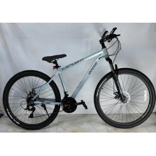 Şəhər velosipedi 28 ölçüsü, 21 sürət, aliminium çərçivəli, su qabı, Çin istehsalı, 2 təkərli - BB-900