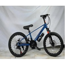Şəhər velosipedi 20