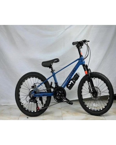 Şəhər velosipedi 20