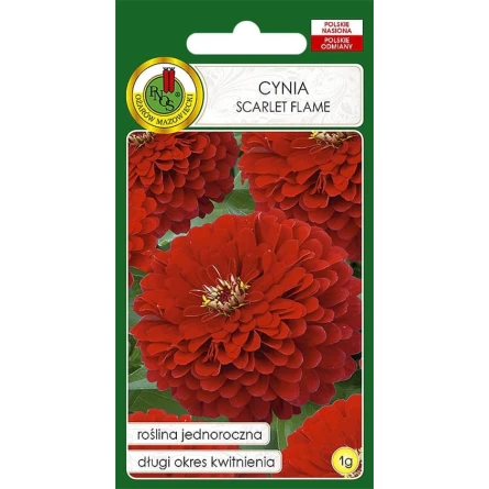 Çiçək toxumları PNOS Cynia Scarlet Flame, 1 q