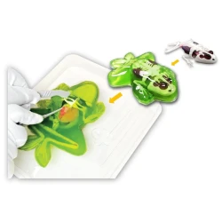 Набор для опытов Slimy Lab Dissect it Frog, 6+ лет Набор для опытов Slimy Lab Dissect it Frog, 6+ лет