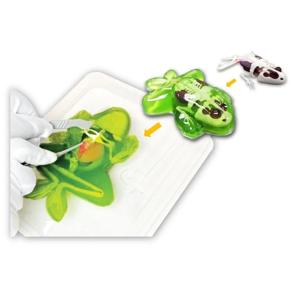 Набор для опытов Slimy Lab Dissect it Frog, 6+ лет Набор для опытов Slimy Lab Dissect it Frog, 6+ лет