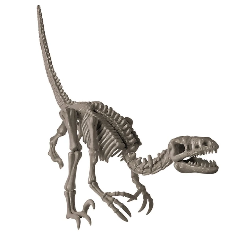 Набор для опытов 4M Раскопай cкелет Велоцираптор, 8+ лет, длина модели 21 см