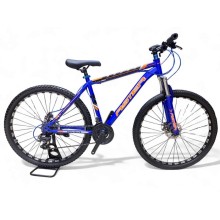 Velosiped Aster 1001486, 29