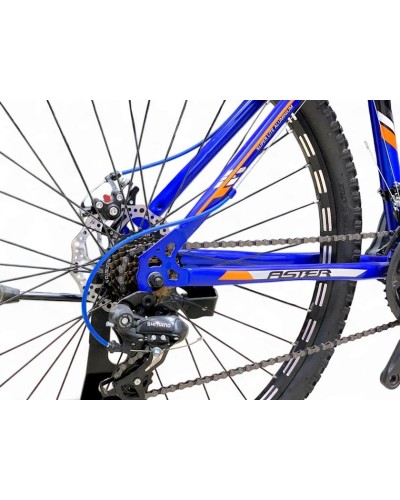 Velosiped Aster 1001486, 29
