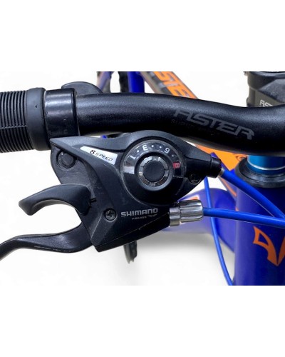 Velosiped Aster 1001486, 29