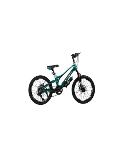 Velosiped Toyou GTR-20 WS 20
