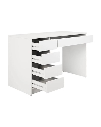 Kompüter masası Ev Plus 12116062, LDSP, 120x55x75 sm