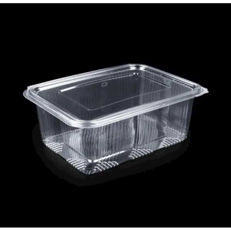 Birdəfəlik konteyner dəsti Loyal 6235088507, polietilen tereftalat, şəffaf, 34.8х23.2х8.4 sm, 100 əd