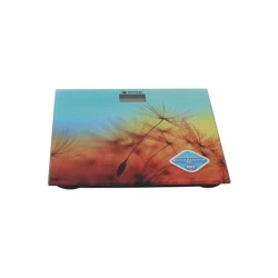 Döşəmə tərəziləri Vitek VT-8057