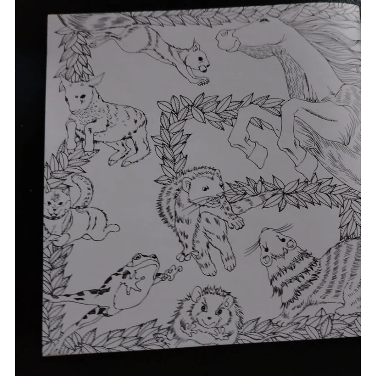 Раскраска TH, животные-лес