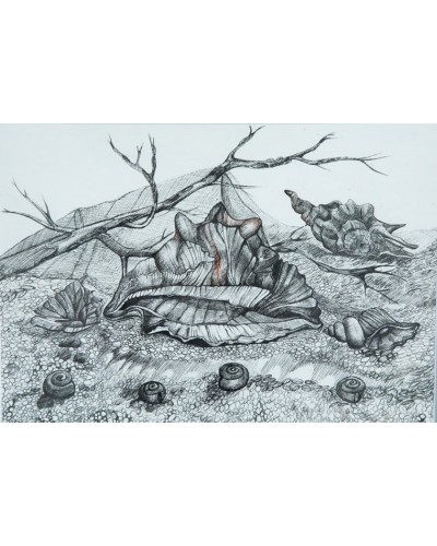 Qrafika Art by Ulviya Kakhramanova Tərk edilmiş sahil UK0044, kağız, qələm, 30х40 sm