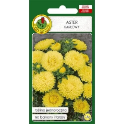 Семена цветов PNOS Aster Karlowy, желтые, 0.8 г