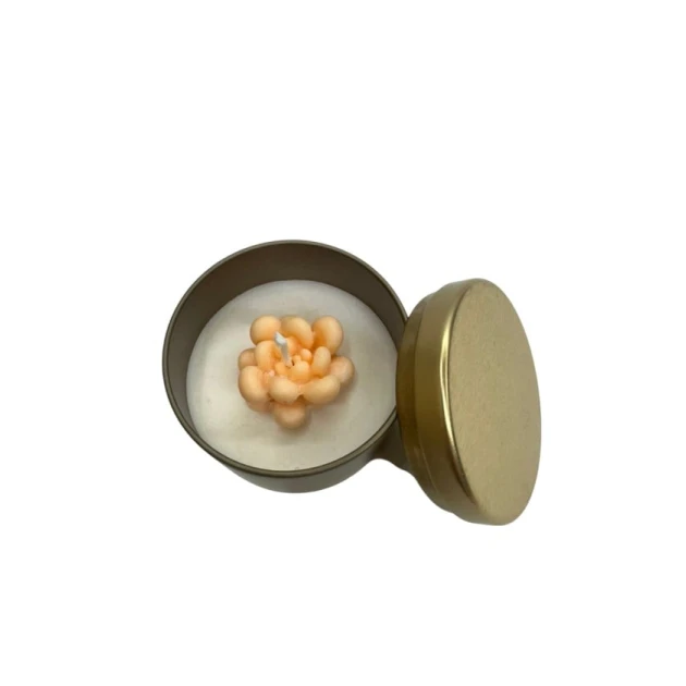 Ətirli şam 10919-2