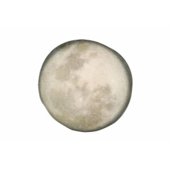 Тарелка Porland Stoneware 04SWA000054, керамогранит, бежевая, 22 см