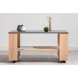 Jurnal masası Art 28 Votan