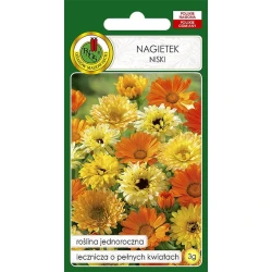 Семена цветов PNOS Nagietek Niski 3 г