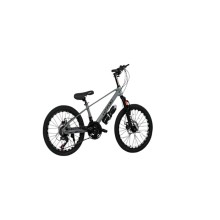 Velosiped Toyou ML 20