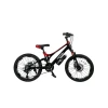 Uşaq velosipedi VeloWS, 20