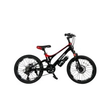 Uşaq velosipedi VeloWS, 20