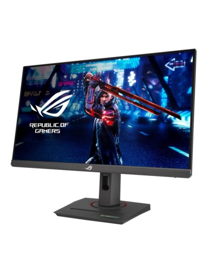 Monitor 24.5