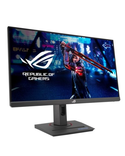 Monitor 24.5