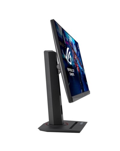 Monitor 24.5
