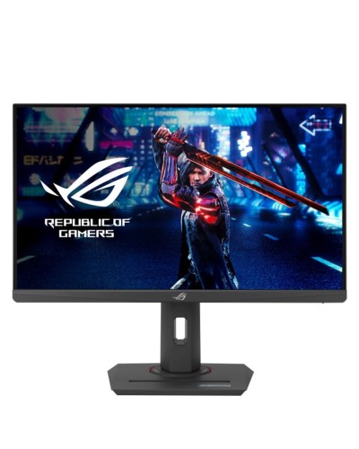 Monitor 24.5