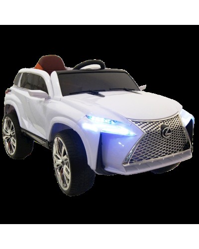 Uşaq elektrik avtomobili Lexus 9688, ağ