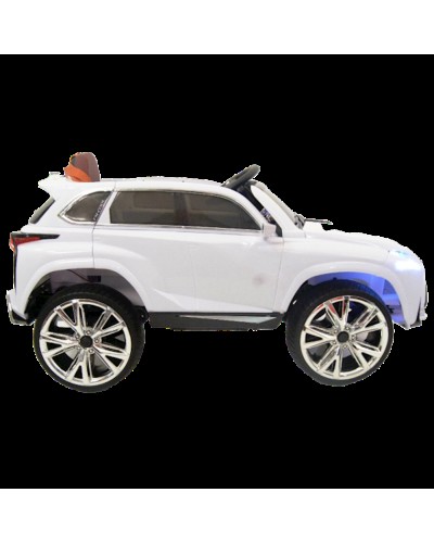 Uşaq elektrik avtomobili Lexus 9688, ağ