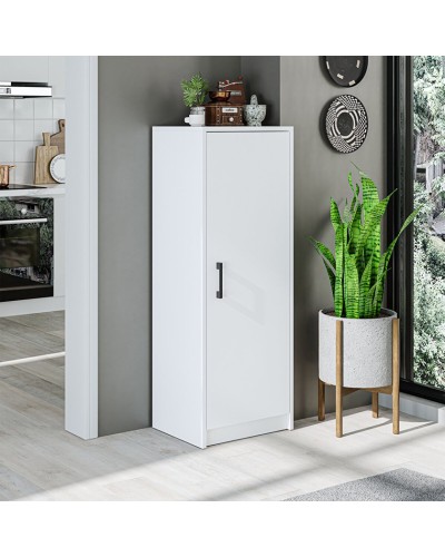 Dolab Ev Plus 12116098, LDSP, 45x35x121 sm