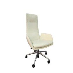 Ofis üçün kreslo Gladys A2069-1, 65х62х121 sm, krem