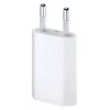Сетевое зарядное устройство Apple iPod USB Adapter (MD813ZM/A) Сетевое зарядное устройство Apple iPod USB Adapter (MD813ZM/A)
