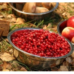 Миска походная Expedition, нержавеющая сталь, 16 см, серебристая Миска походная Expedition, нержавеющая сталь, 16 см, серебристая