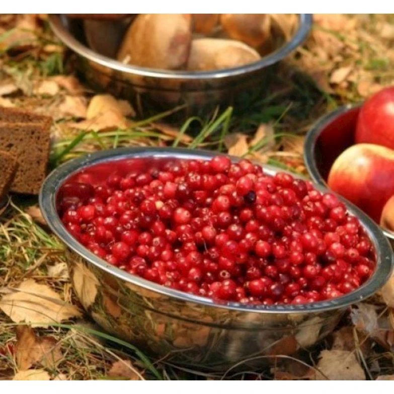 Миска походная Expedition, нержавеющая сталь, 16 см, серебристая Миска походная Expedition, нержавеющая сталь, 16 см, серебристая