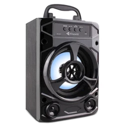 Акустическая система Kisonli KK-02