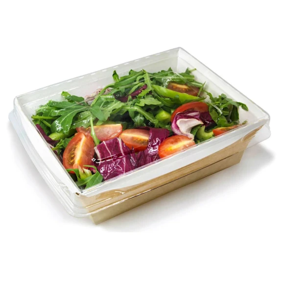 Salat üçün birdəfəlik konteynerlər Loyal-9113828955, 50 əd, qəhvəyi