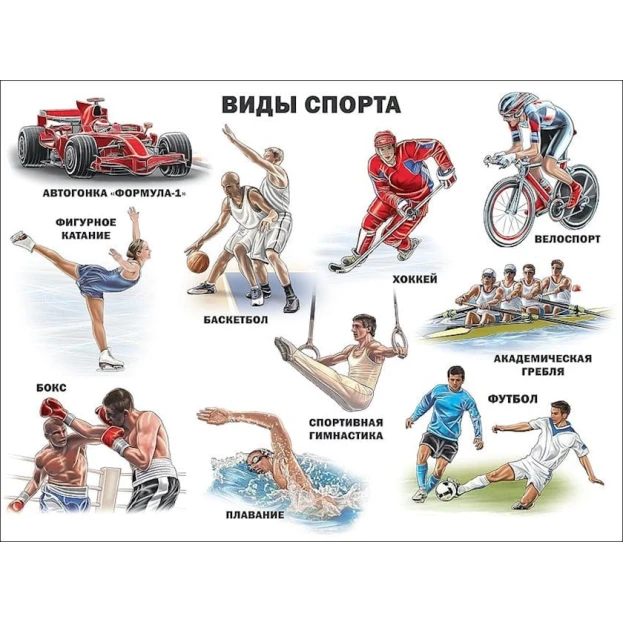 Плакат Проф-Пресс Виды спорта