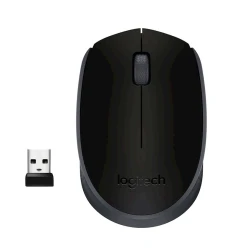 Мышь Logitech Mouse Wireless B170
