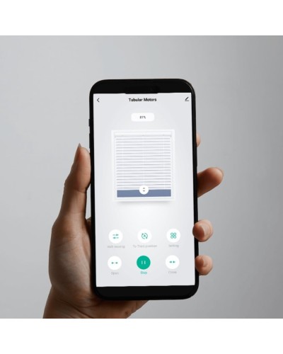 Karniz üçün motor Novato Tuya, WiFi + RF ilə uyğun, 6 Nm - TPM-01