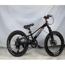 Velosiped Velosipedlər, 20