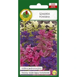 Семена цветов PNOS Szalwia Powabna 0.5 г